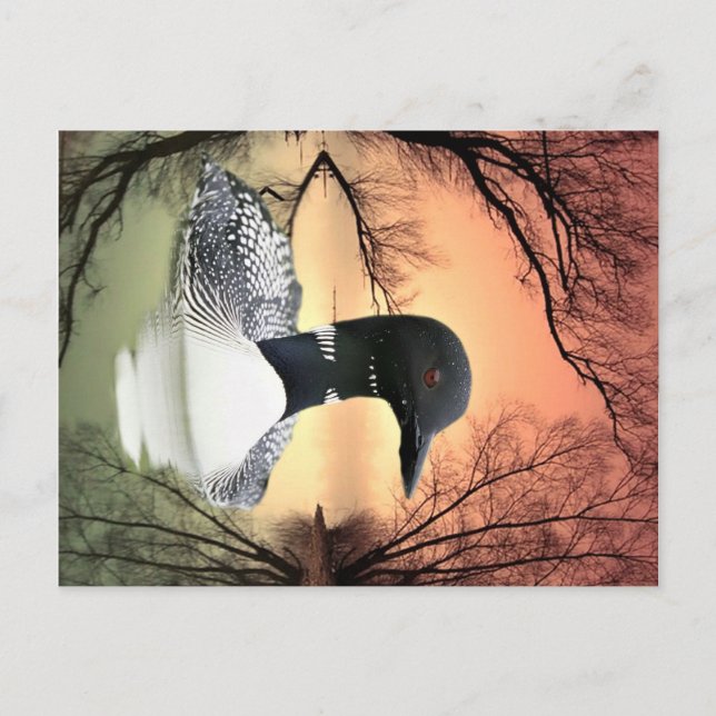 Carte Postale Réflexions sur le Loon (Devant)