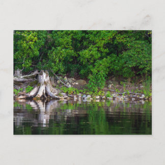 Carte postale Réflexions vertes
