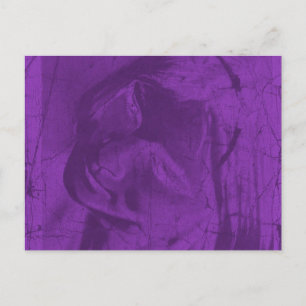 Carte Postale Réflexions violettes