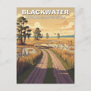 Carte Postale Refuge faunique national de Blackwater dans le Mar
