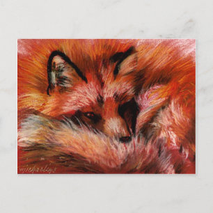 Carte postale Refuge Fox
