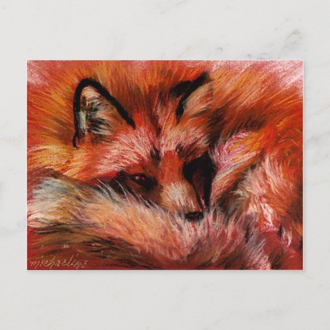Carte postale Refuge Fox (Devant)