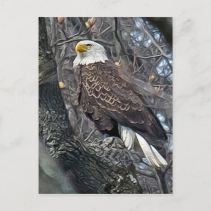Carte Postale Regal Bald Eagle
