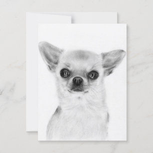Carte Postale Regard chaud - Peint à la main Chihuahua