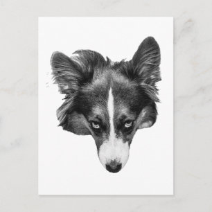Carte Postale regard en nuances de gris