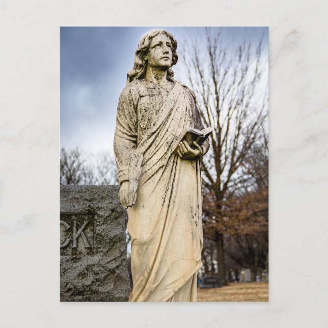 Carte Postale Regardant le ciel (Devant)