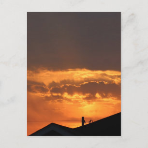 Carte Postale Regarder le lever du soleil