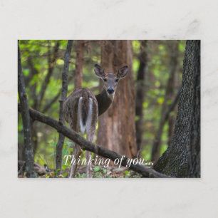 Carte Postale Regarder le passé