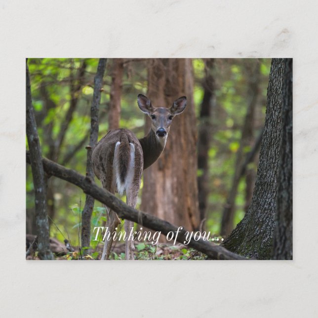 Carte Postale Regarder le passé (Devant)