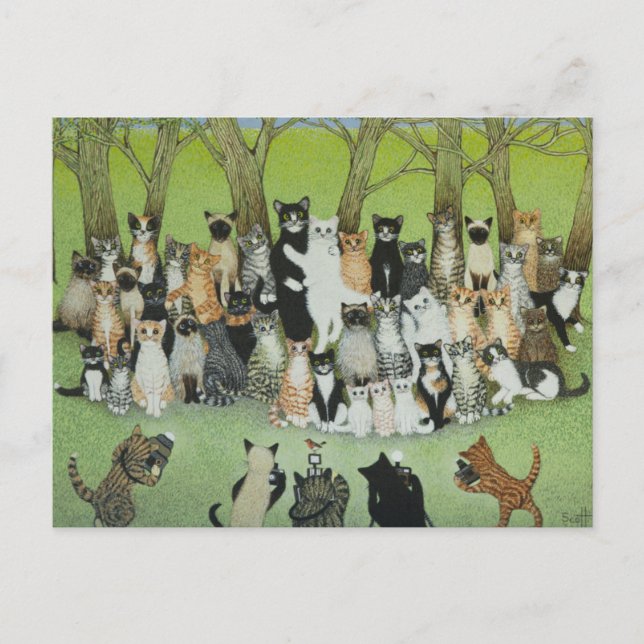 Carte Postale Regardez la Birdie (Devant)