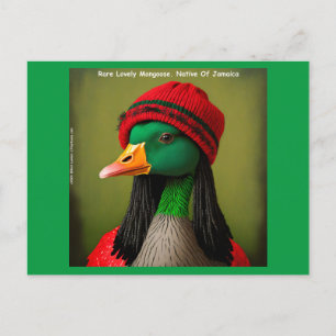 Carte Postale Reggae volante jamaïcaine Oie mongole drôle