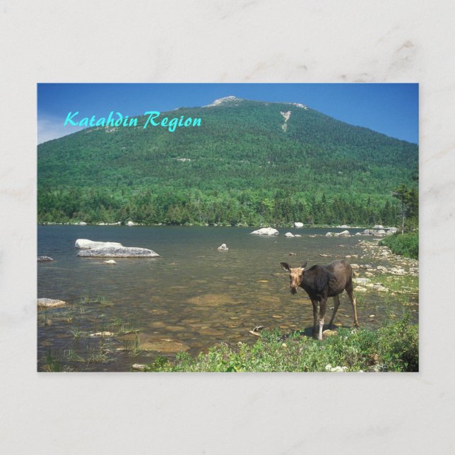 Carte Postale Région de Katahdin Maine (Devant)