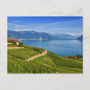 Carte Postale région de Lavaux, Vaud, HDR
