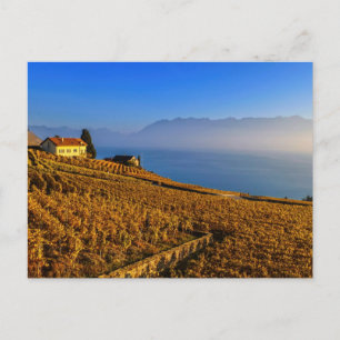 Carte Postale Région de Lavaux, Vaud, Switzerland