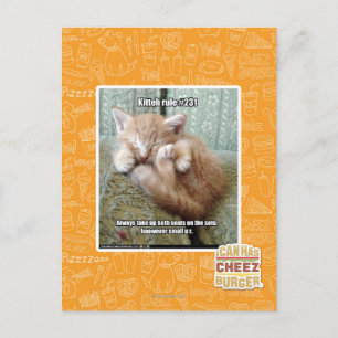 Carte Postale Règle de Kitteh #231