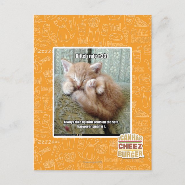 Carte Postale Règle de Kitteh #231 (Devant)