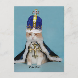 Carte Postale Règle des chats