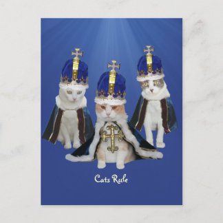 Carte Postale Règle des chats
