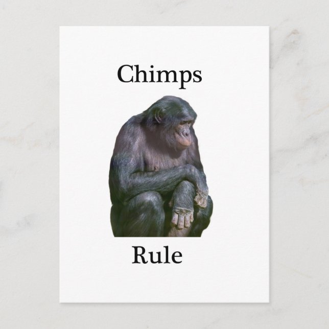 Carte Postale Règle des crampes (Devant)
