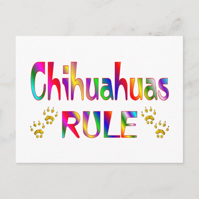 Carte Postale Règle du Chihuahuas (Devant)