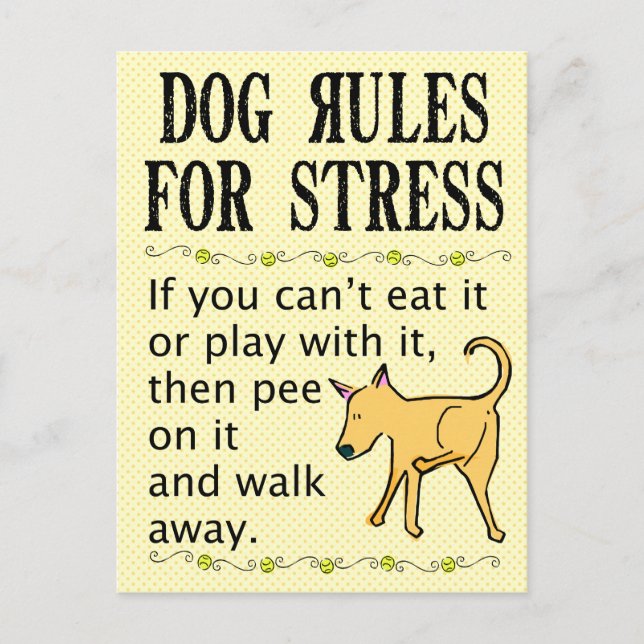 Carte Postale Règles pour le chien contre le stress (Devant)