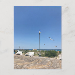 Carte Postale Rehoboth Beach Boardwalk Seaguls Sky Ocean Photo