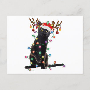 Carte Postale Reindeer Chat Noir Feux de Noël Drôle Chat Amour