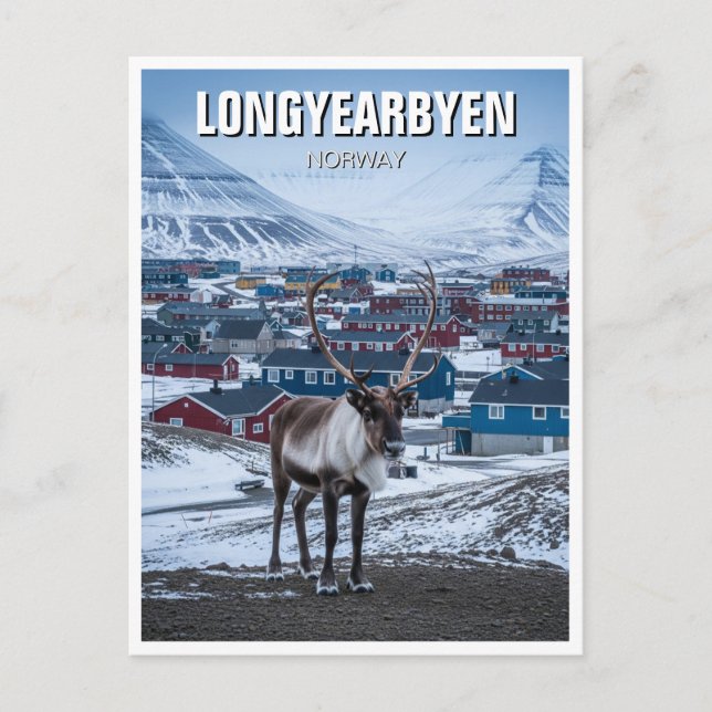 Carte Postale Reindeer Longyearbyen Svalbard Norvège (Devant)