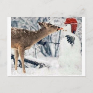 Carte Postale Reinder Manger Snowman