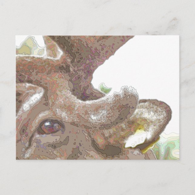 CARTE POSTALE RÉINDEUR (Devant)