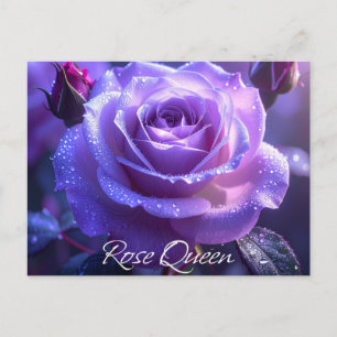 Carte Postale Reine rose