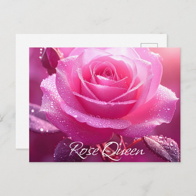 Carte Postale Reine rose (édition rose) (Devant / Derrière)