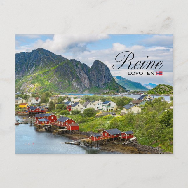 Carte Postale Reine sur les Lofoten (Devant)