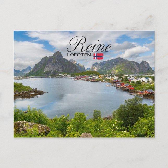 Carte Postale Reine sur les Lofoten (Devant)
