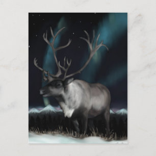 Carte postale Reinedeer of the Northern Lights