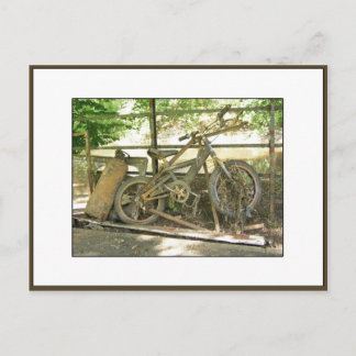 Carte Postale Rejetons de rivière