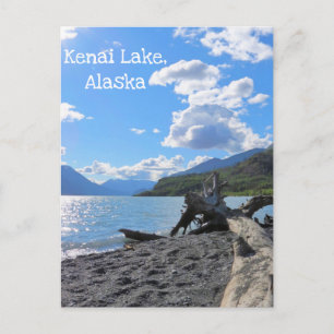Carte Postale Relaxant Driftwood Beach Log Kenai Lake, Alaska