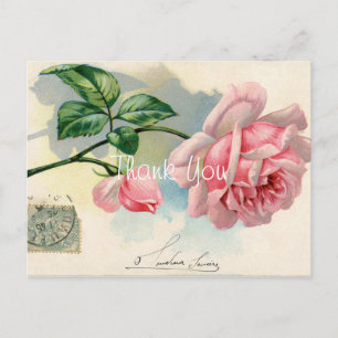 Carte Postale Remerciement Rose Rose Vintage
