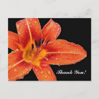 Carte Postale Remerciements!