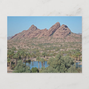 Carte Postale Remerciements à un invité à la maison