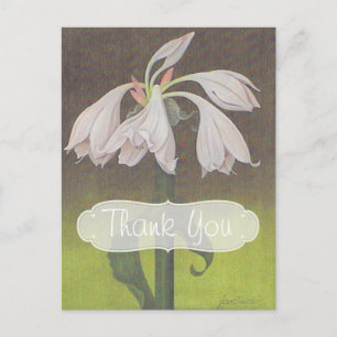 Carte Postale Remerciements Fleur Blanche