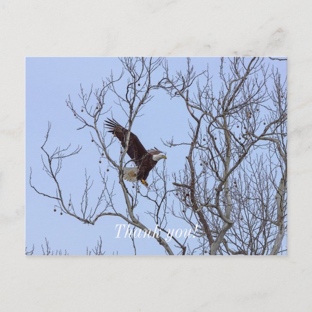 Carte Postale Remerciements Peints Livraison de Dîner de Poisson (Devant)