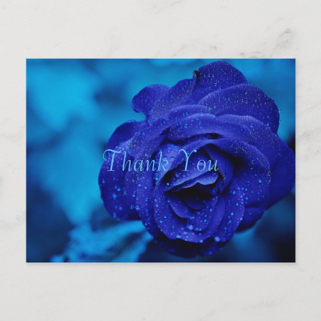 Carte Postale Remerciements Rose Bleue (Devant)