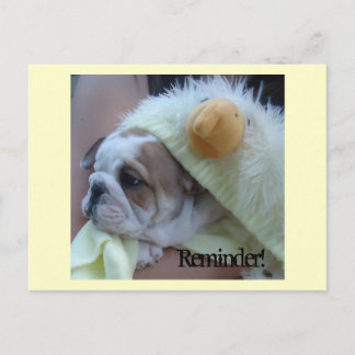 Carte Postale Reminder Postcards English Bulldog Puppy