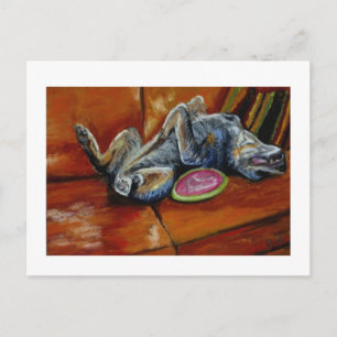 Carte Postale remise à la frisbee