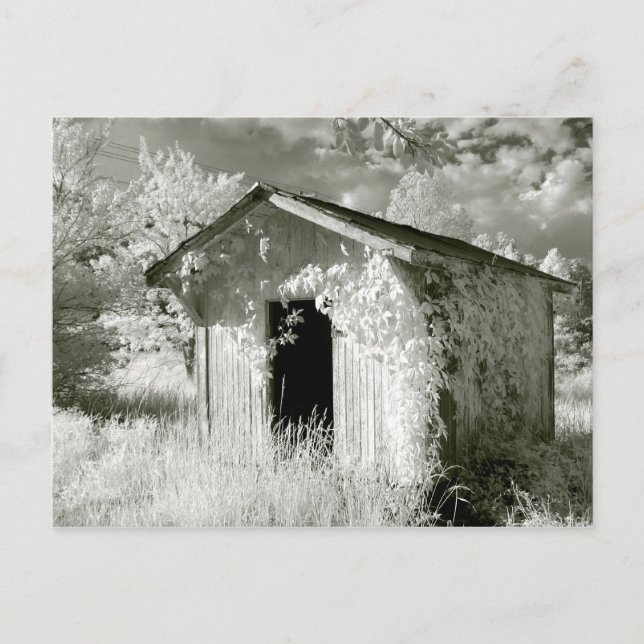 Carte Postale Remise infrarouge rustique (Devant)