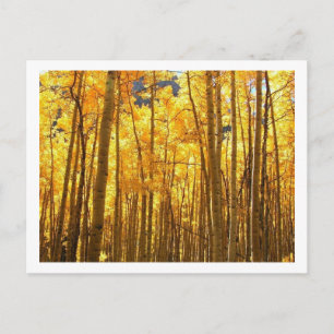 Carte Postale Remorquage d'automne