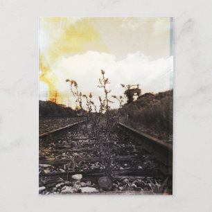 Carte Postale Renaissance entre les rails