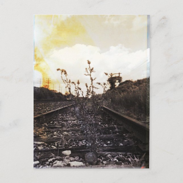 Carte Postale Renaissance entre les rails (Devant)