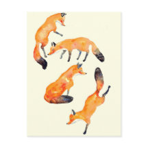 renard